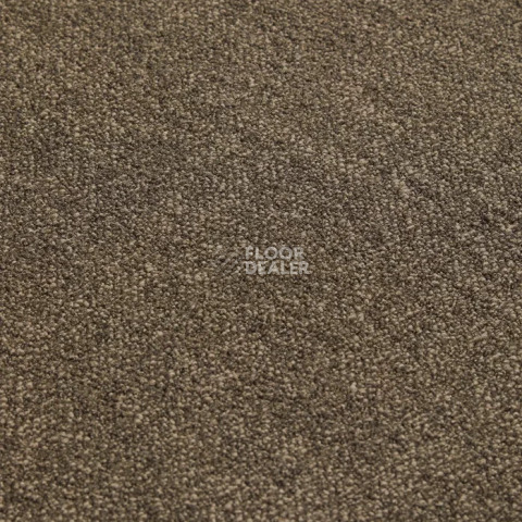 Haima Coral 06 фото 10 | FLOORDEALER